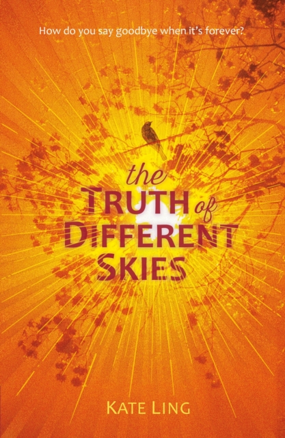 The Truth of Different Skies : Book 3, EPUB eBook