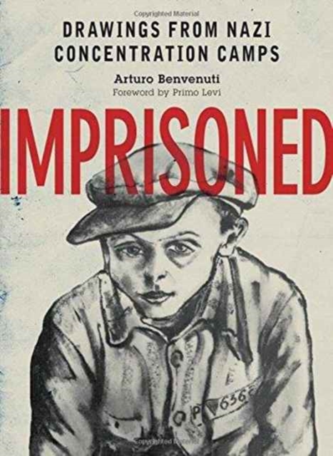Imprisoned : Drawings from Nazi Concentration Camps, Hardback Book