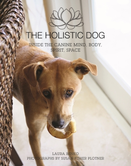 The Holistic Dog : Inside the Canine Mind, Body, Spirit, Space, Hardback Book
