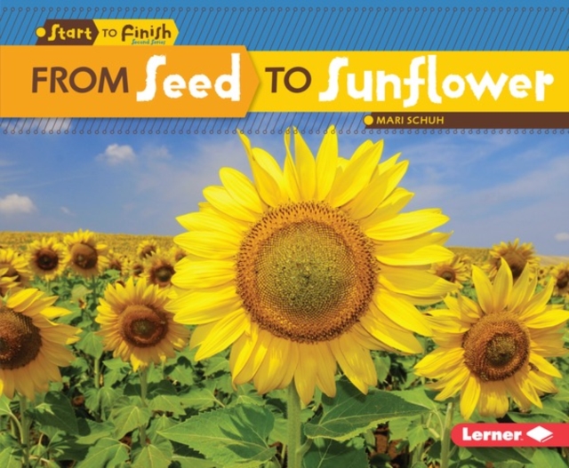 From Seed to Sunflower, PDF eBook