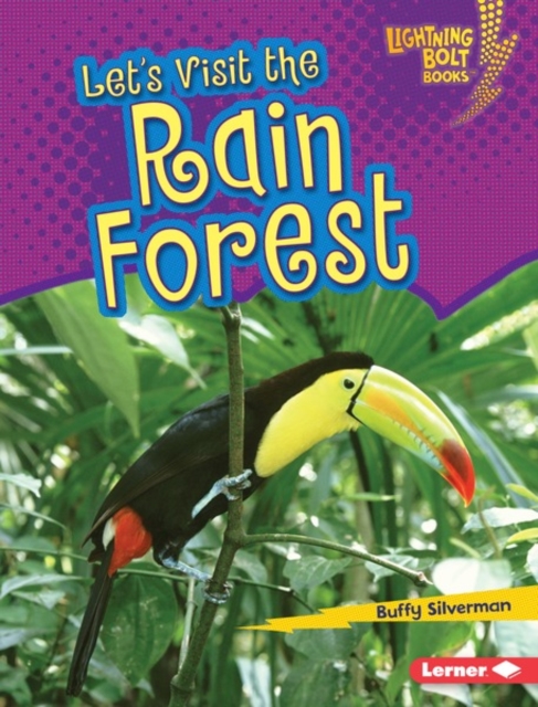 Let's Visit the Rain Forest, PDF eBook
