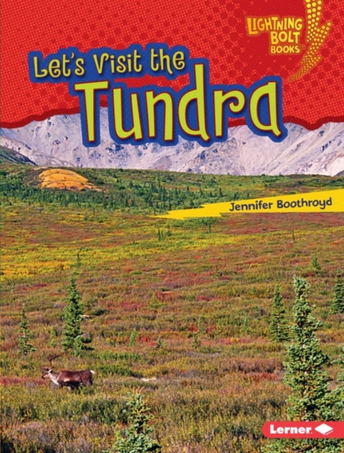 Let's Visit the Tundra, PDF eBook