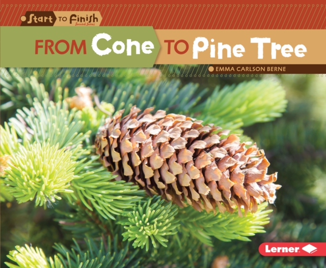From Cone to Pine Tree, EPUB eBook