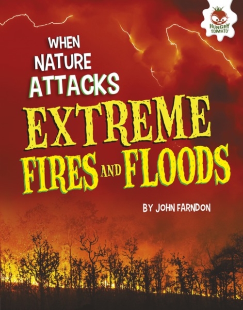 Extreme Fires and Floods, EPUB eBook