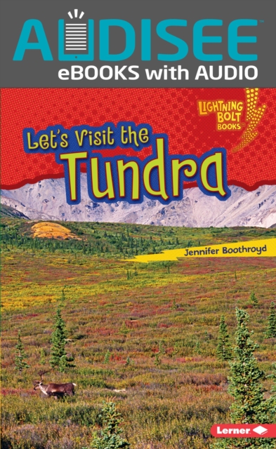 Let's Visit the Tundra, EPUB eBook