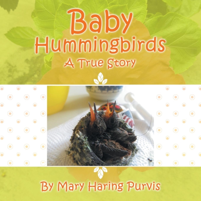 Baby Hummingbirds : A True Story, Paperback / softback Book