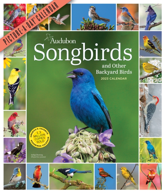 Audubon Songbirds and Other Backyard Birds Picture-A-Day Wall Calendar 2023, Calendar Book