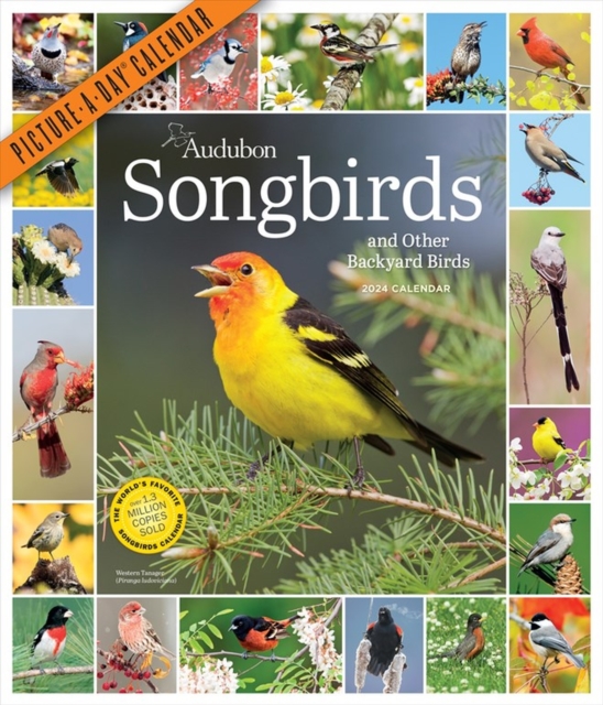 Audubon Songbirds and Other Backyard Birds Picture-A-Day Wall Calendar 2024 : A Beautiful Bird Filled Way to Keep Track of 2024, Calendar Book