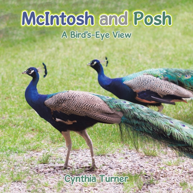 McIntosh and Posh : A Bird's-Eye View, Paperback / softback Book