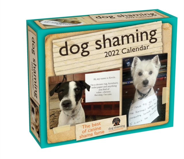 Dog Shaming 2022 Day-to-Day Calendar, Calendar Book