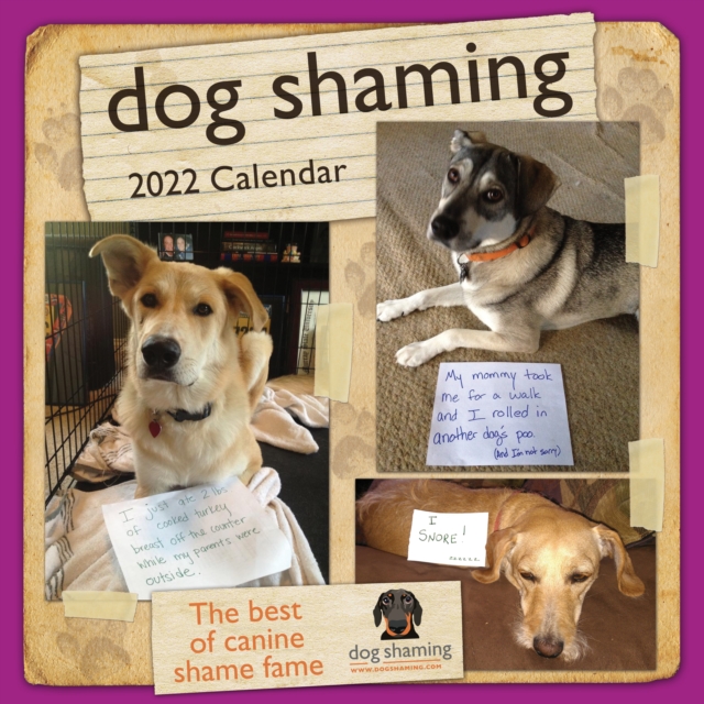 Dog Shaming 2022 Wall Calendar, Calendar Book