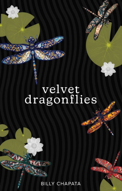Velvet Dragonflies, Paperback / softback Book