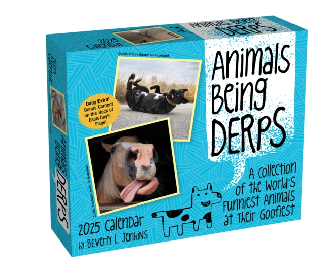 Animals Being Derps 2025 Day-to-Day Calendar, Calendar Book
