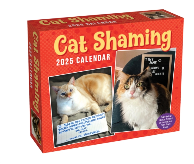 Cat Shaming 2025 Day-to-Day Calendar, Calendar Book