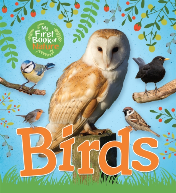 My First Book of Nature: Birds, Paperback / softback Book