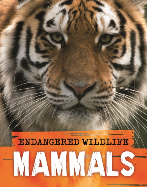 Endangered Wildlife: Rescuing Mammals, Hardback Book