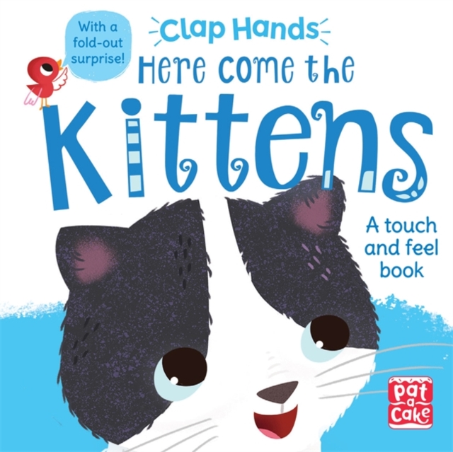 Clap Hands: Here Come the Kittens : A touch-and-feel board book with a fold-out surprise, Board book Book