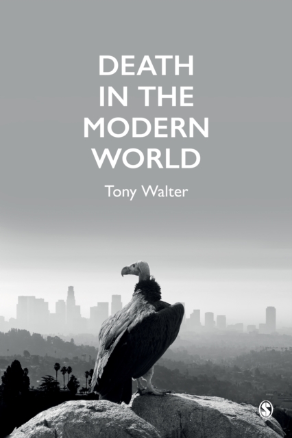 Death in the Modern World, EPUB eBook