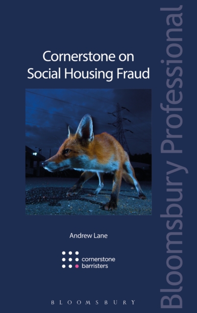 Cornerstone on Social Housing Fraud, EPUB eBook