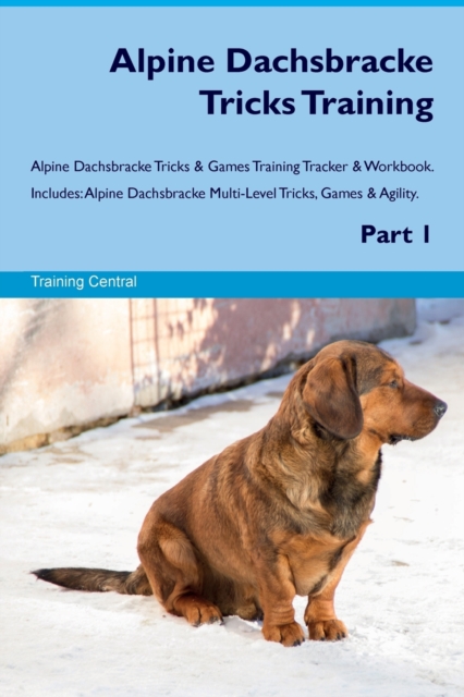 Alpine Dachsbracke Tricks Training Alpine Dachsbracke Tricks & Games Training Tracker & Workbook. Includes : Alpine Dachsbracke Multi-Level Tricks, Games & Agility. Part 1, Paperback / softback Book