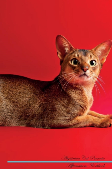 Abyssinian Cat Affirmations Workbook Abyssinian Cat Presents : Positive and Loving Affirmations Workbook. Includes: Mentoring Questions, Guidance, Supporting You., Paperback / softback Book