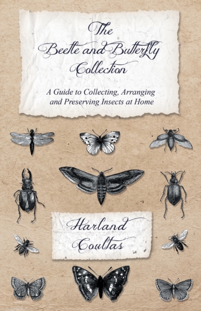 The Beetle and Butterfly Collection - A Guide to Collecting, Arranging and Preserving Insects at Home, Paperback / softback Book