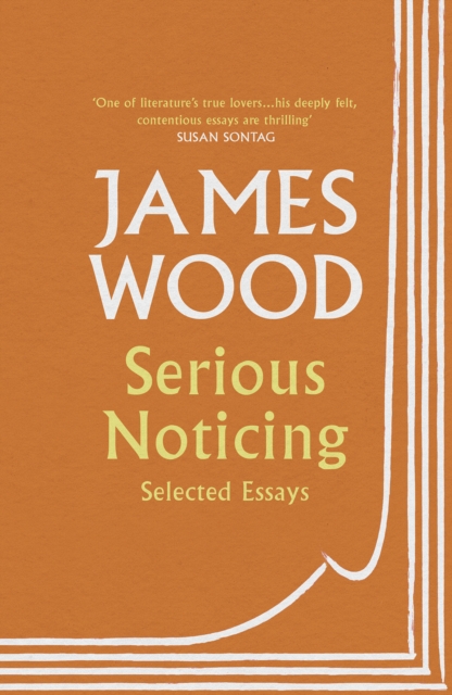 Serious Noticing : Selected Essays, Paperback / softback Book