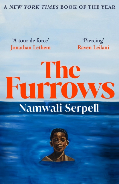 The Furrows : From the Prize-winning author of The Old Drift, Paperback / softback Book