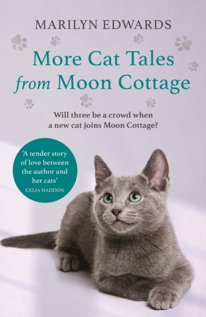 More Cat Tales From Moon Cottage, EPUB eBook