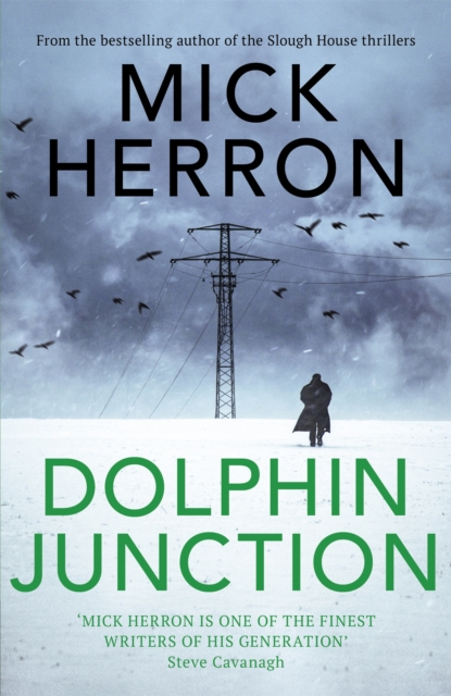 Dolphin Junction, Hardback Book