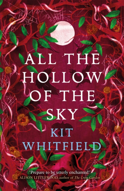 All the Hollow of the Sky : An enthralling novel of fae, folklore and forests, Paperback / softback Book