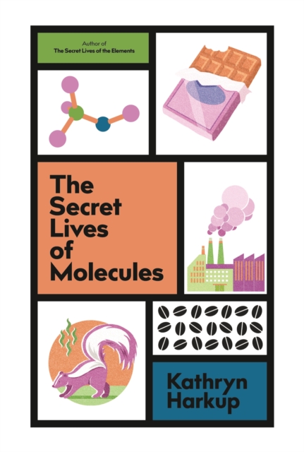 The Secret Lives of Molecules, EPUB eBook