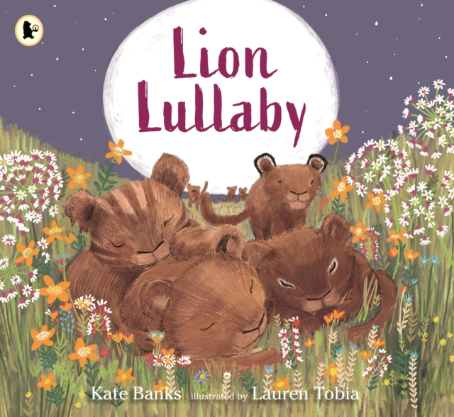 Lion Lullaby, Paperback / softback Book