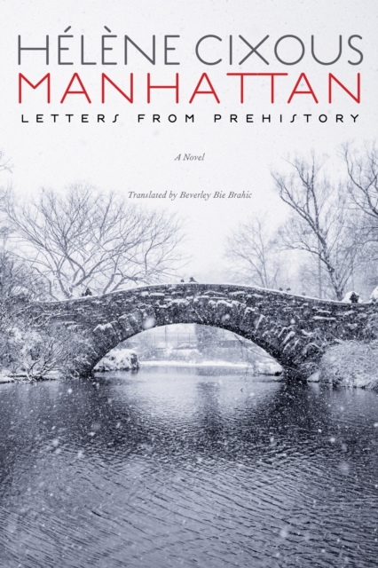 Manhattan : Letters from Prehistory, EPUB eBook