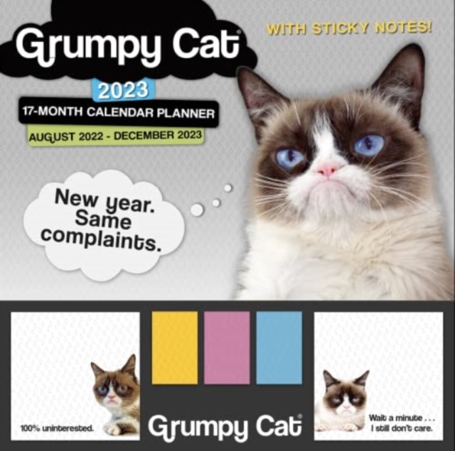 GRUMPY CAT ITS ALL DOWNHILL FROM HERE, Paperback Book