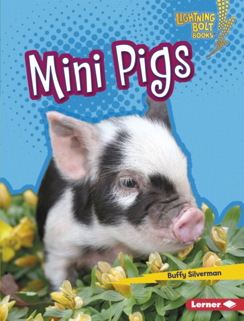 Mini Pigs, EPUB eBook
