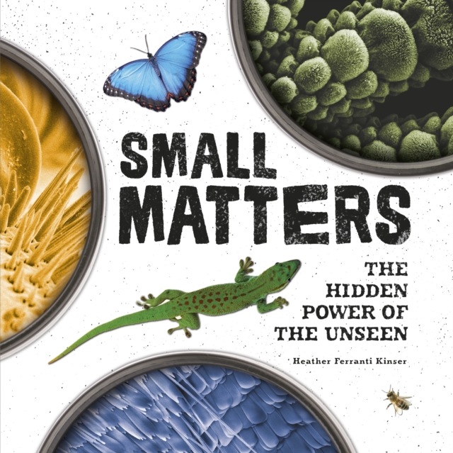 Small Matters : The Hidden Power of the Unseen, EPUB eBook