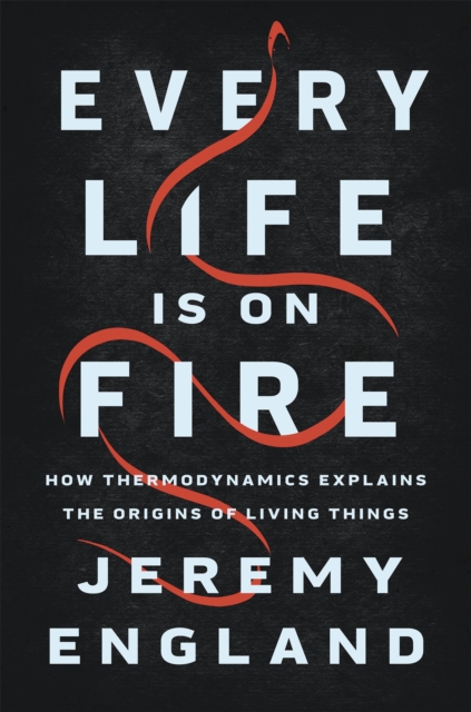 Every Life Is On Fire : How Thermodynamics Explains the Origins of Living Things, Hardback Book