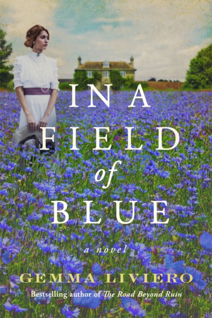 In a Field of Blue : A Novel, Paperback / softback Book