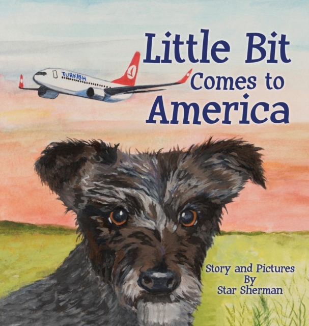 Little Bit Comes to America, Hardback Book