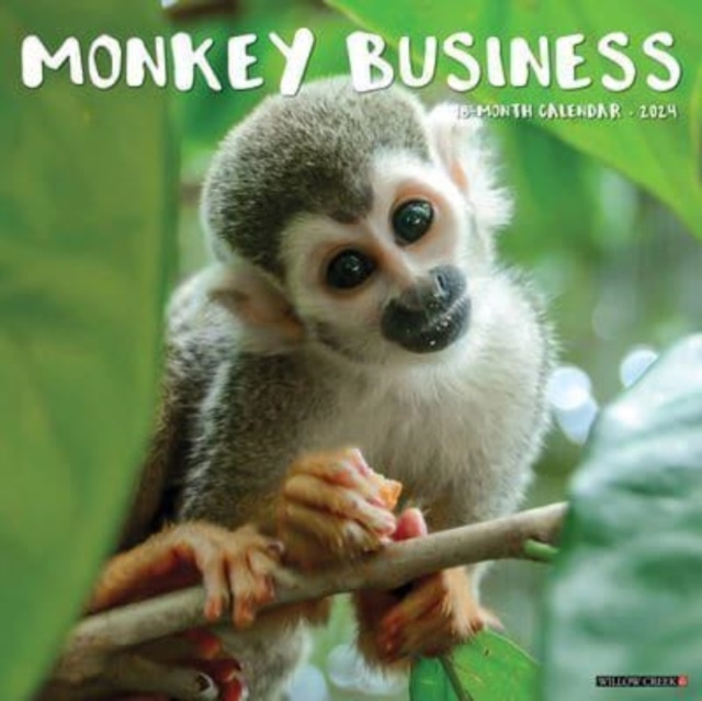 Monkey Business 2024 12 X 12 Wall Calendar, Calendar Book
