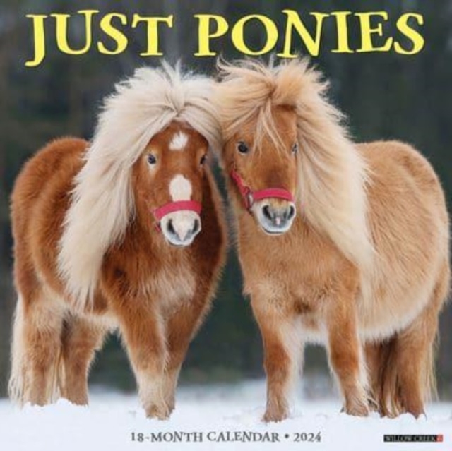 Ponies 2024 12 X 12 Wall Calendar, Calendar Book