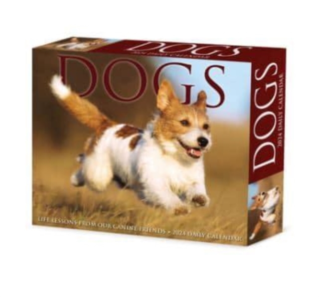 Dogs 2024 6.2 X 5.4 Box Calendar, Calendar Book