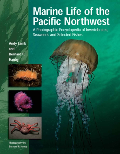 Marine Life of the Pacific Northwest : A Photographic Encyclopedia of Invertebrates, Seaweeds and Selected Fishes, Hardback Book