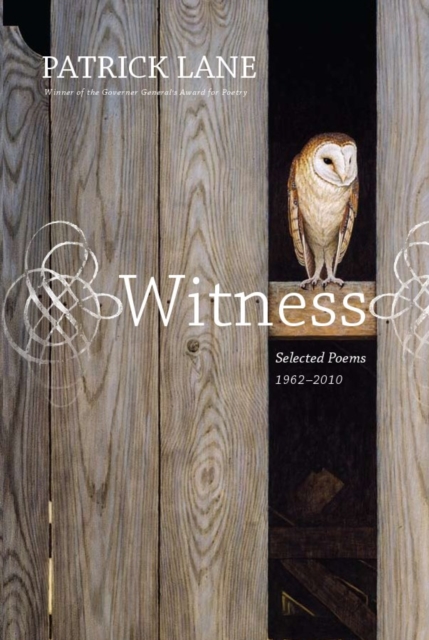 Witness : Selected Poems 1962-2010, Paperback / softback Book