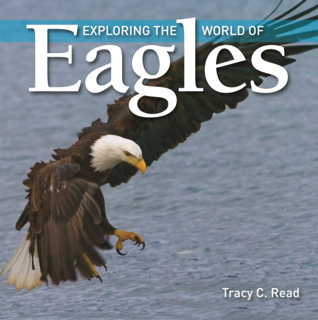Exploring the World of Eagles, Paperback / softback Book