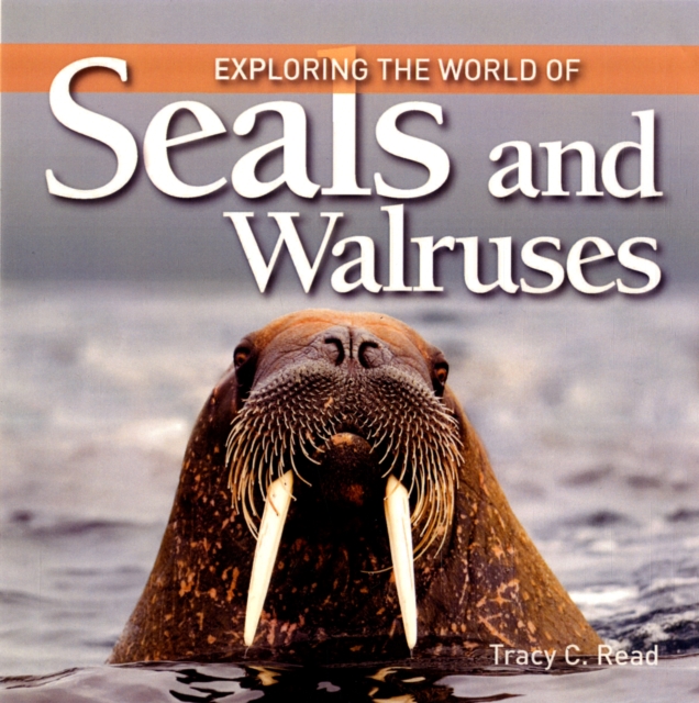 Exploring the World of Seals and Walruses, Paperback / softback Book