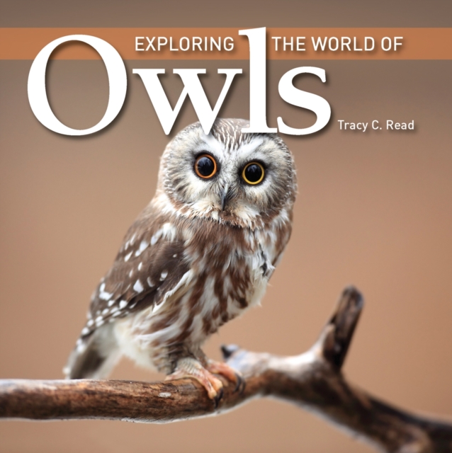 Exploring the World of Owls, Paperback / softback Book