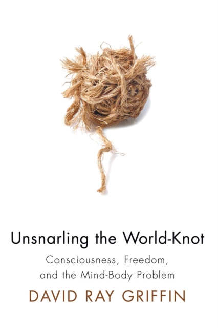 Unsnarling the World-Knot, Paperback / softback Book