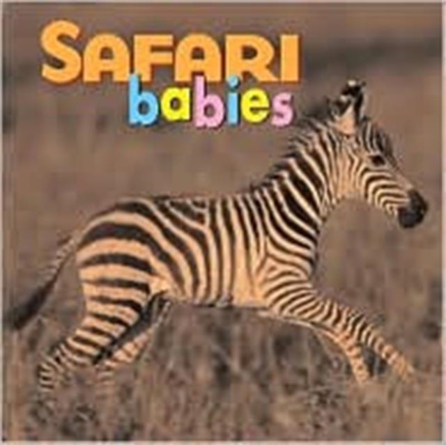 Safari Babies BD, Hardback Book